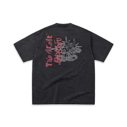 THE GREAT RAKKIU T-shirt