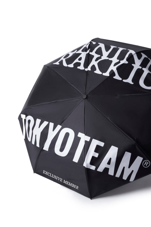 Inside the box umbrella